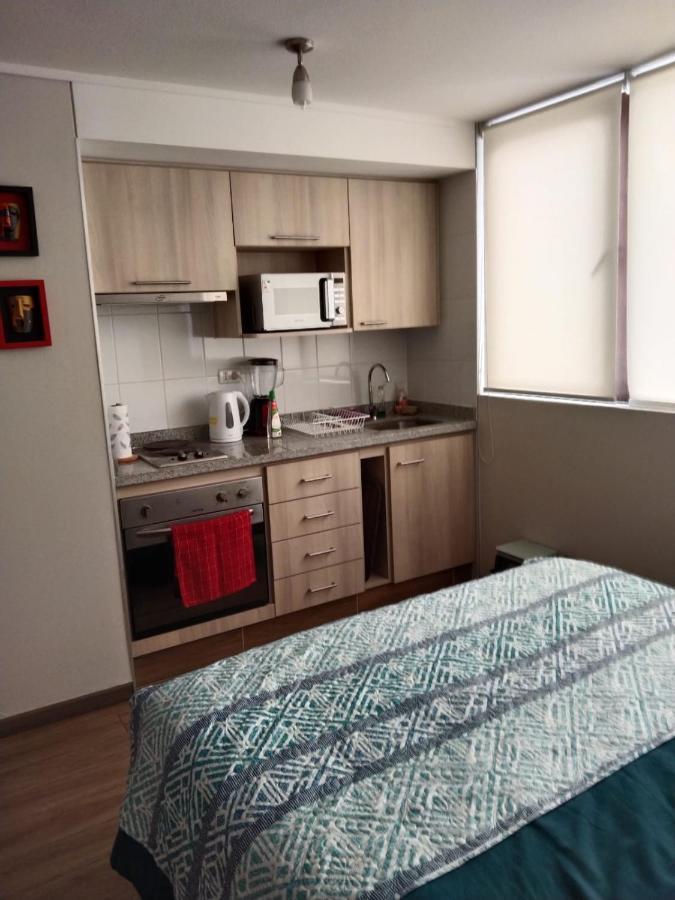 Departamento nuevo tipo estudio en pleno centro Apartamento Concepción Exterior foto